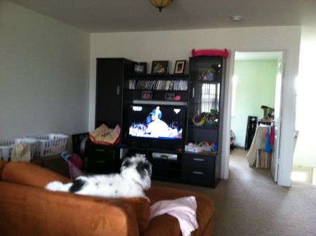 Even Abby loves Opening Day!